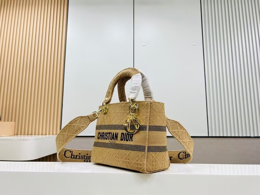 D*or medium lady d-lite bag 24x20x11cm