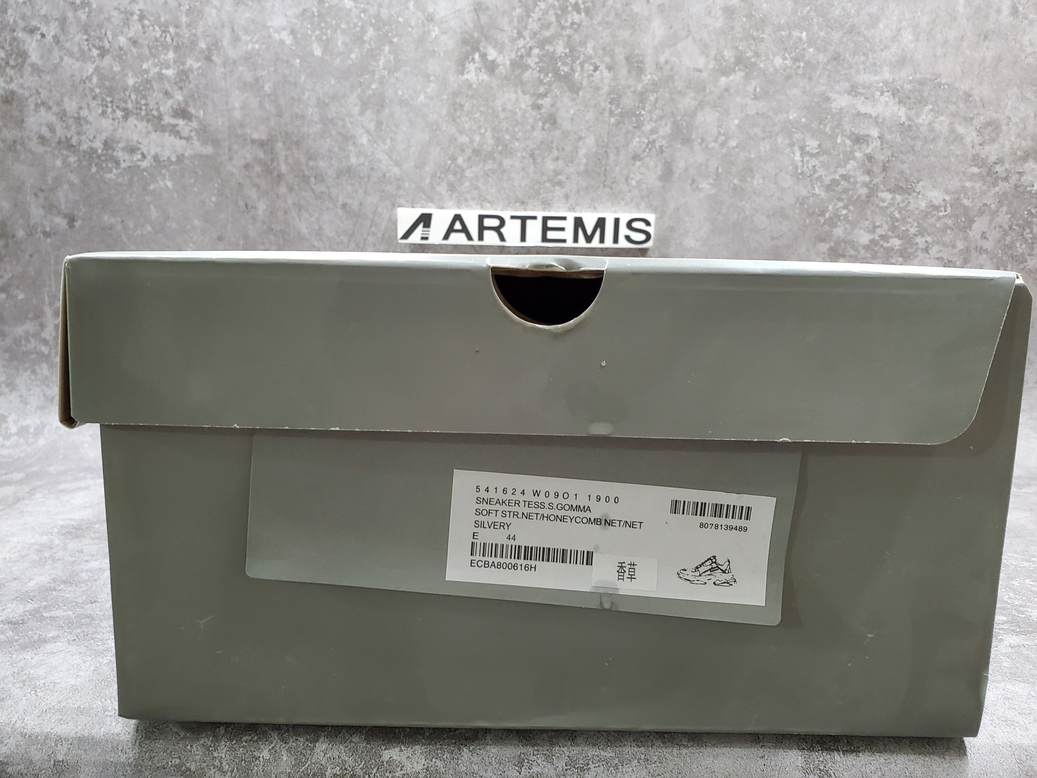 Balenciga Triple S Trainer 