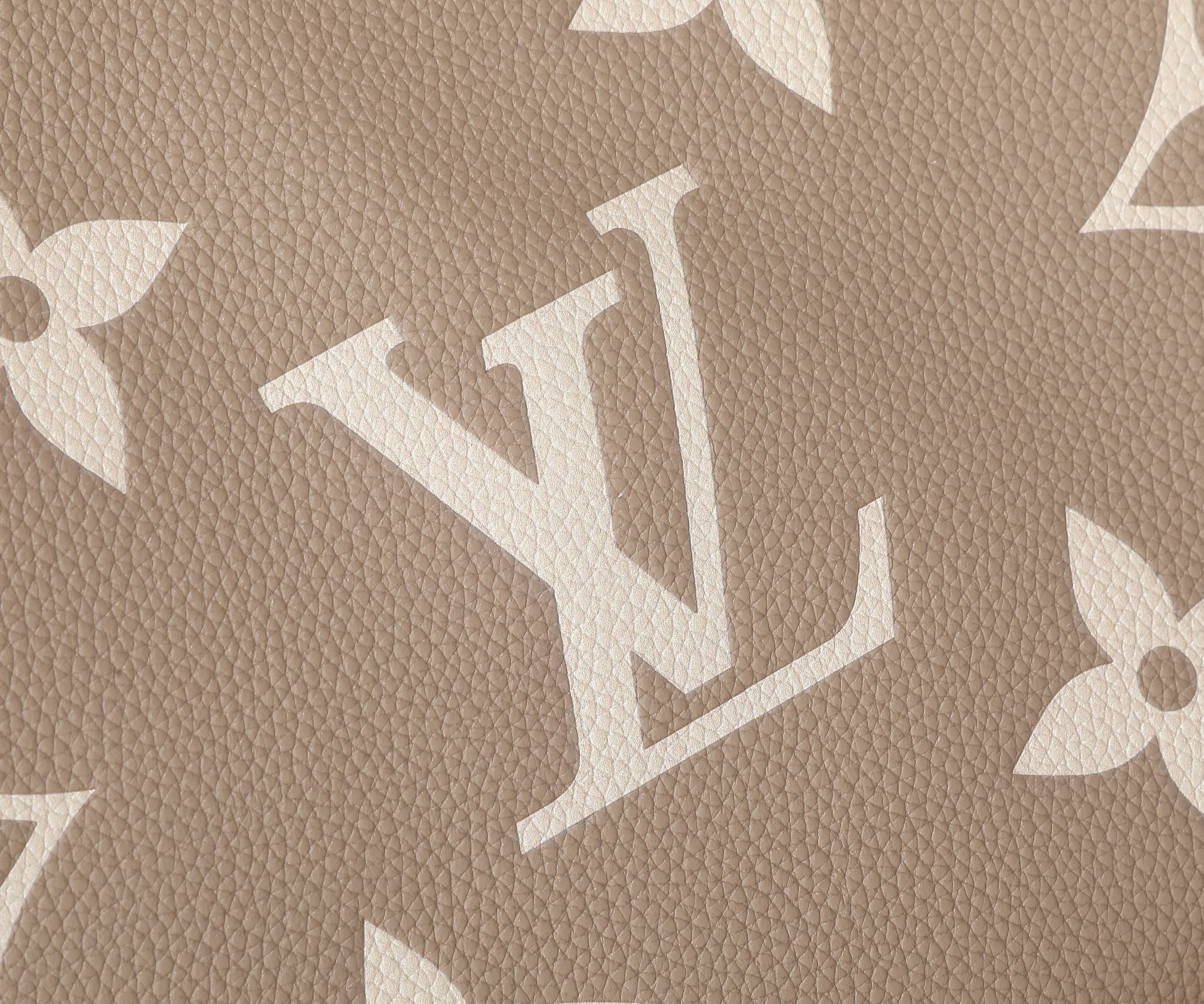 LV CarryAll PM M47180 11.6x9.4x4.7 inches