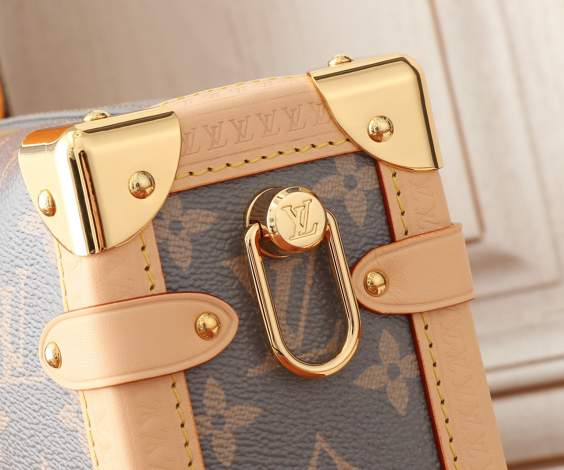 LV Side Trunk M12428 21x14x6CM