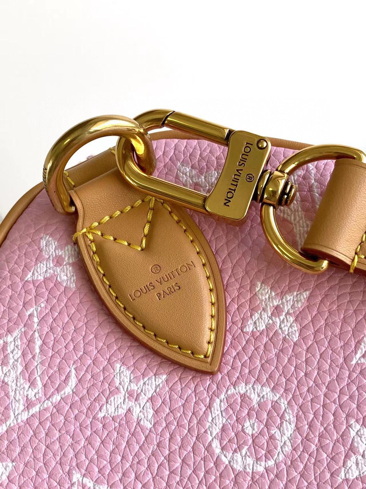 LV SPEEDY BANDOULIÈRE25 M24423