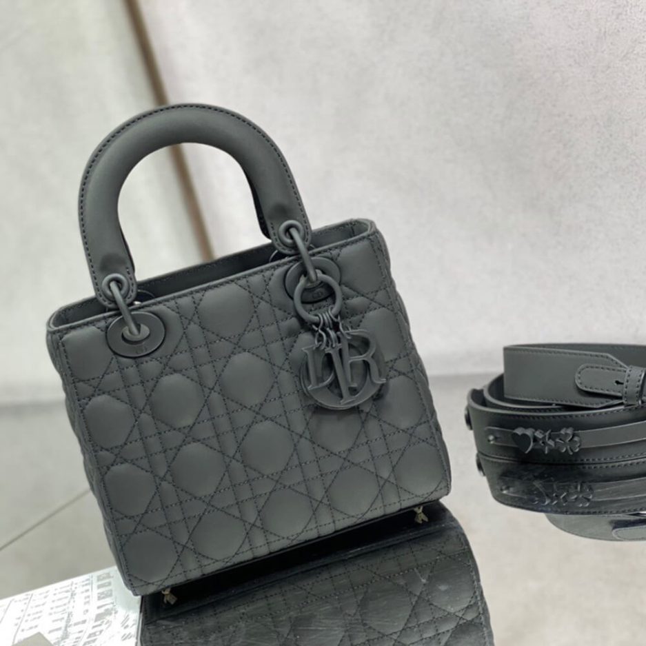 small lady D*or my abcD*or bag