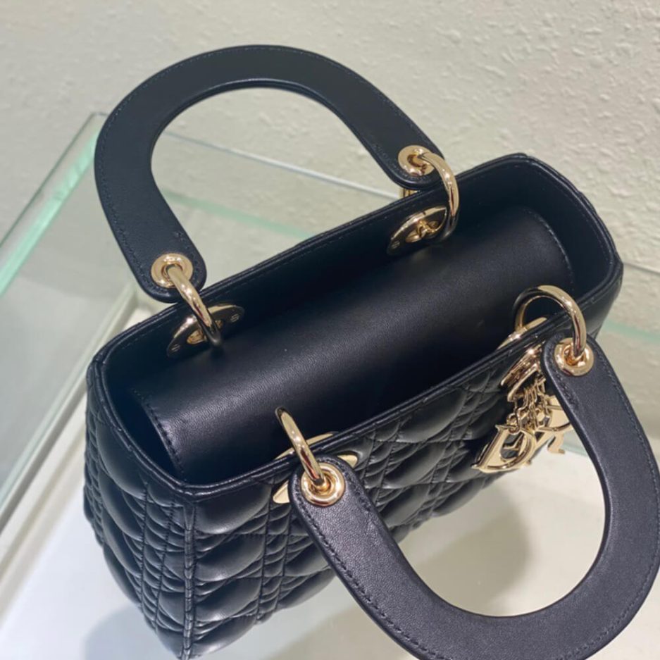 small lady D*or my abcD*or bag